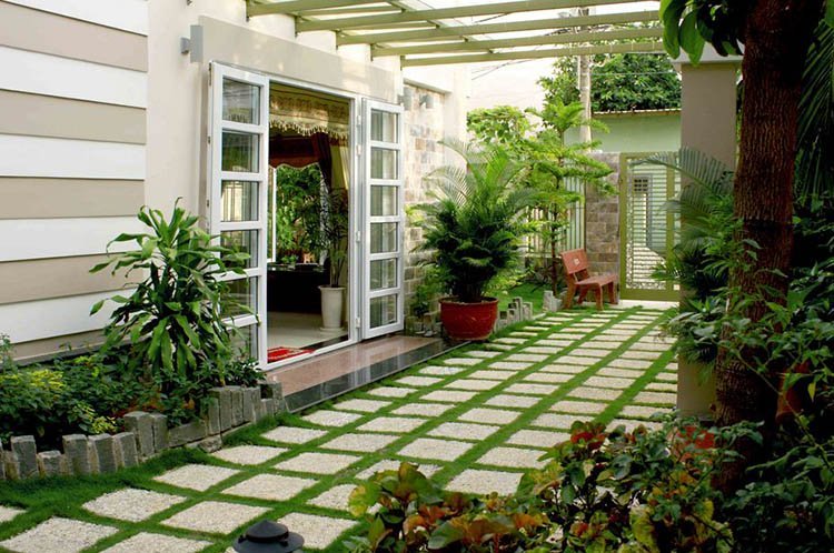 Sử dụng cây xanh để giảm nhiệt hiệu quả