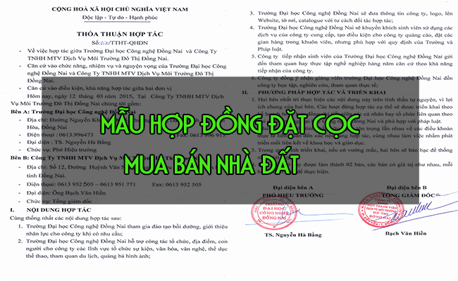Ảnh minh họa mẫu hợp đồng đặt cọc