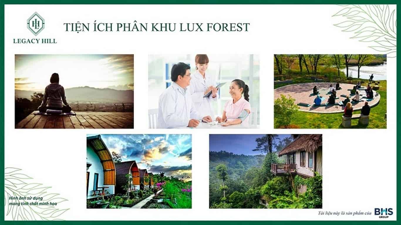 Tiện ích phân khu Lux Forest Legacy Hill